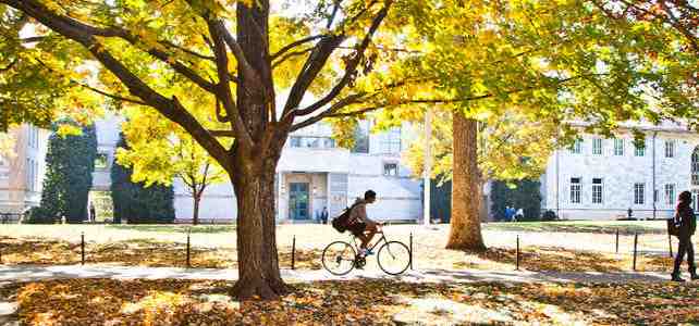 来自埃默里大学招生办的一封公开信