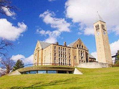 学姐学长都去了康奈尔大学留学