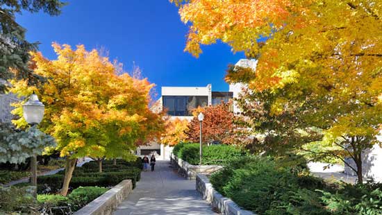 高考后申请美国留学弗吉尼亚理工大学