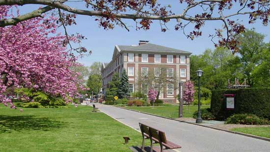 美国留学实习机会最多的美国大学