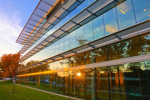 美国名校布兰迪斯大学