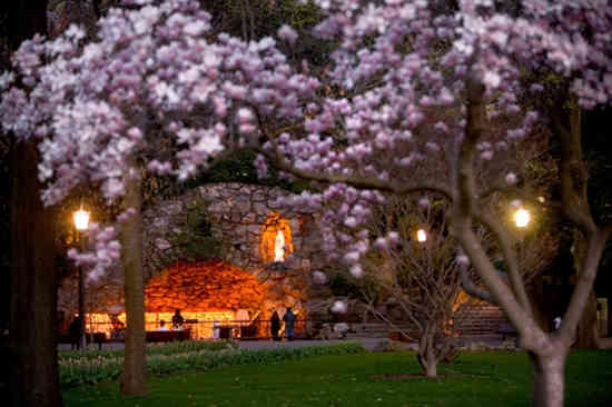 圣母大学University of Notre Dame