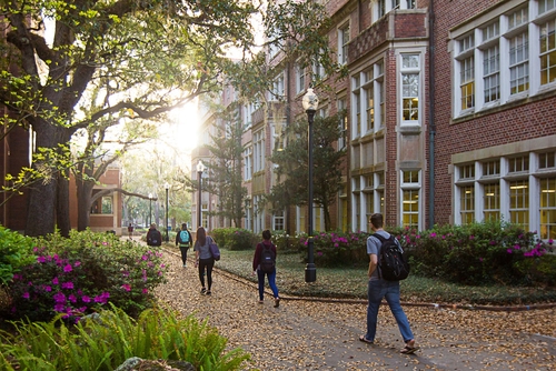 美国名校佛罗里达大学