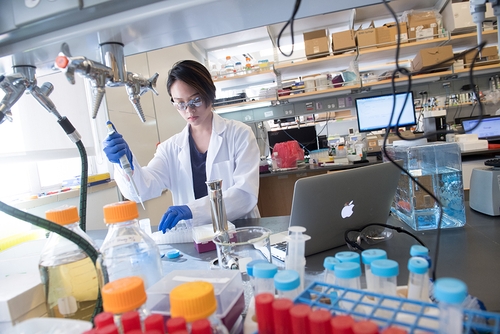 申请美国名校加州理工学院 申请美国名校加州理工学院