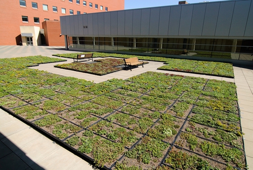 申请美国留学康涅狄格大学 申请美国留学康涅狄格大学