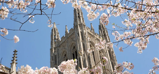 杜克大学 杜克大学