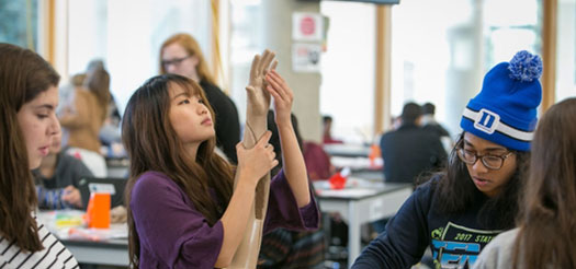 杜克大学 杜克大学