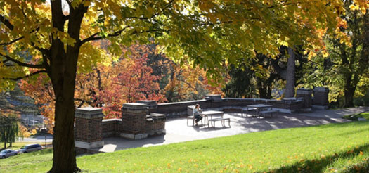 1563529087751955.jpg 内容.jpg