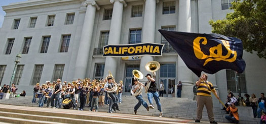 1563530655590495.jpg 内容.jpg