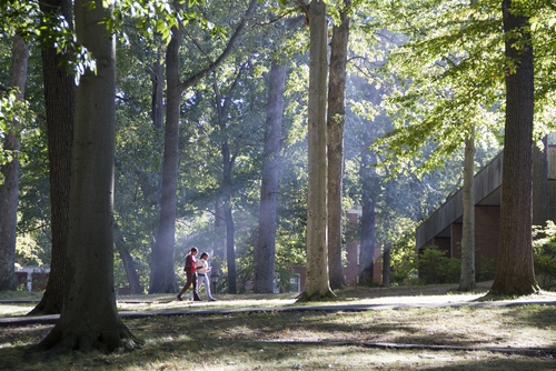 高考后申请美国留学德鲁大学 高考后申请美国留学德鲁大学