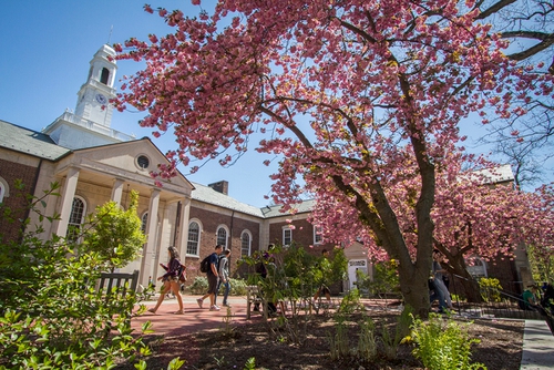 高考后申请美国留学德鲁大学 高考后申请美国留学德鲁大学